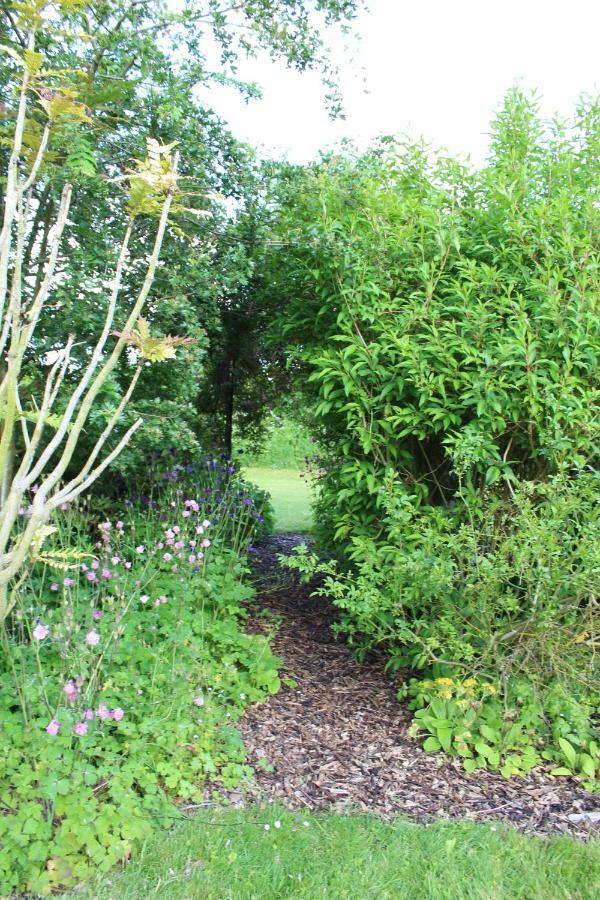The Vine B & B South Thoresby エクステリア 写真